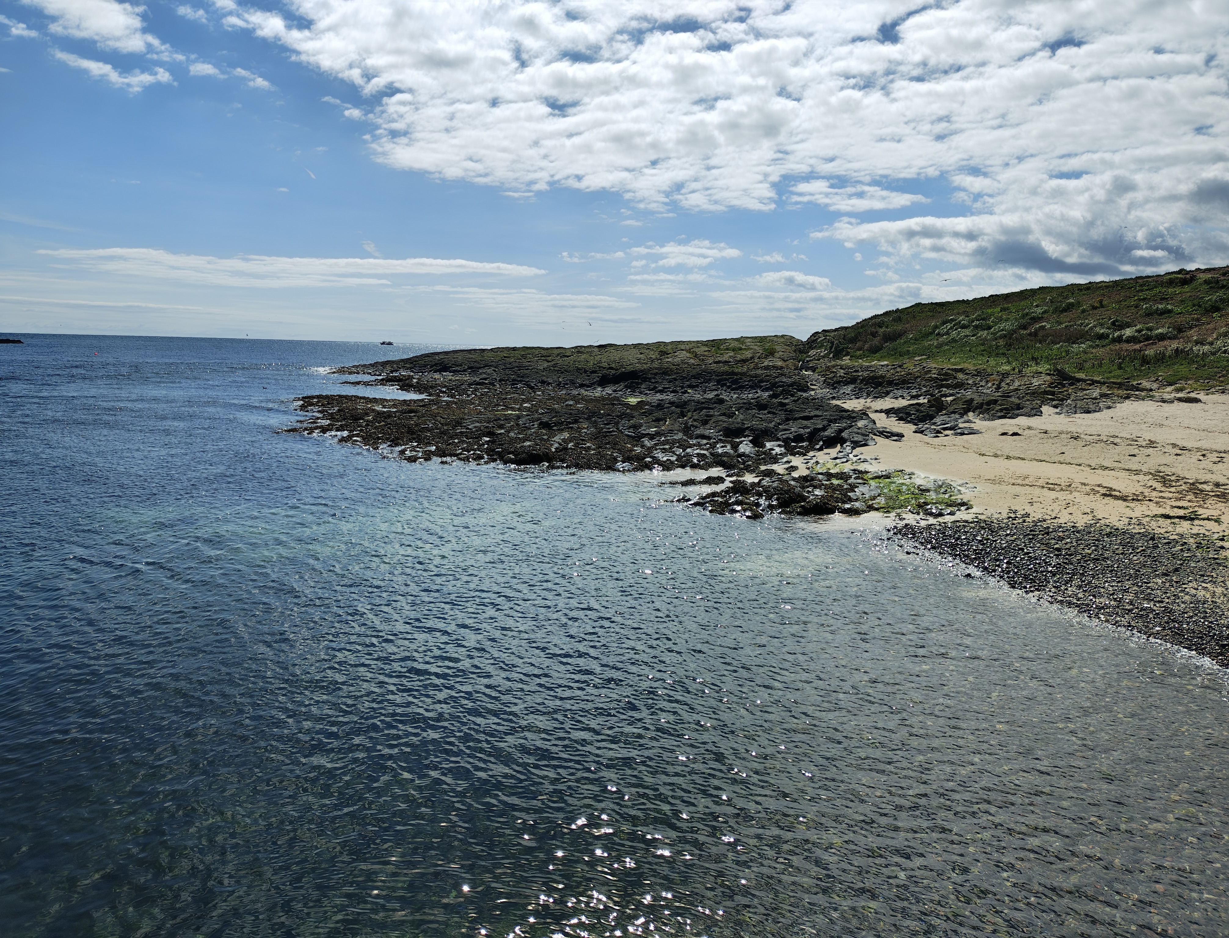 Inner Farne Island