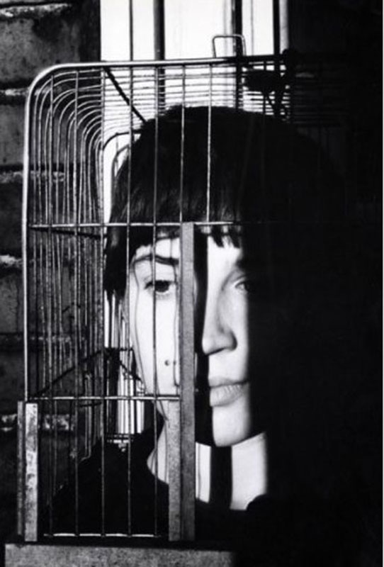 The Captive Mind